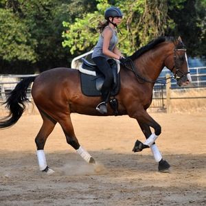 Meet your Posher, Elise